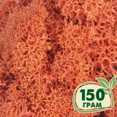 Стабилизированный мох ягель Nordic moss Сиена 150 грамм