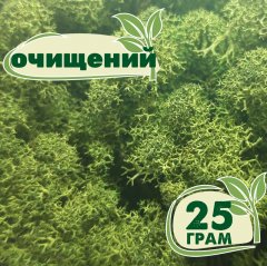 Очищенный стабилизированный мох ягель Nordic moss Зеленый темный 25 грамм