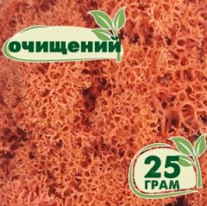 Очищенный стабилизированный мох ягель Nordic moss Сиена 25 грамм