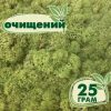 Очищенный стабилизированный мох ягель Nordic moss Зеленый светлый 25 грамм