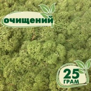 Очищенный стабилизированный мох ягель Nordic moss Зеленый светлый 25 грамм