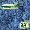 Очищенный стабилизированный мох ягель Nordic moss Лавандовый 25 грамм