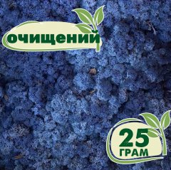 Очищенный стабилизированный мох ягель Nordic moss Синий лазурный 25 грамм