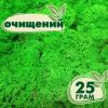 Очищенный стабилизированный мох ягель Nordic moss Зеленый травяной светлый 25 грамм