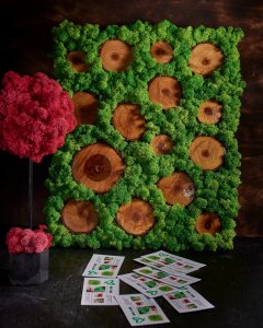 Картина из мха с использованием срезов дерева Салатовый мох