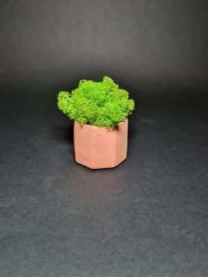 Мини кашпо с мхом. Салатовый мох в розовом кашпо