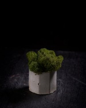 Мини кашпо с мхом. Темно зеленый цвет мха в сером кашпо.