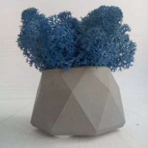 Кашпо Серые Грани со мхом цвета Синий