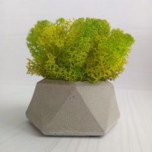 Кашпо Алмаз со мхом весеннего цвета