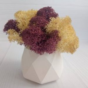 Кашпо Грани со мхом натуральный и эрика