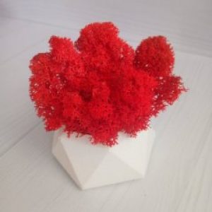 Кашпо Алмаз со мхом красного цвета