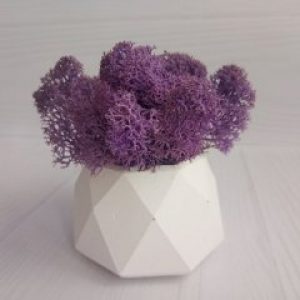 Кашпо Грани со мхом эрика