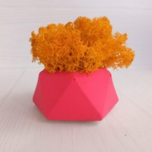 Кашпо Розовый Алмаз со мхом цвета Осенний