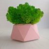 Кашпо Розовый Алмаз со мхом цвета Трава