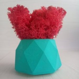 Кашпо Голубые Грани со мхом красного цвета