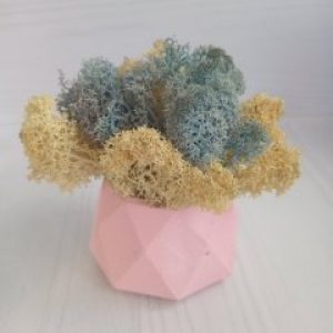 Кашпо Розовые Грани со мхом цвета натуральный и лед