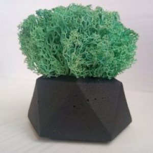 Кашпо Черный Алмаз со мхом цвета Изумруд