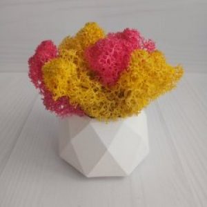 Кашпо Грани со мхом желтый и розовый