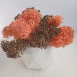 Кашпо Грани со мхом розовый и коричневый