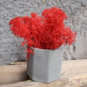 Кашпо Бочка со мхом красного цвета