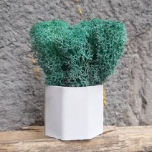 Кашпо Бочка со мхом цвета Изумруд