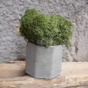 Кашпо Бочка со мхом зеленого цвета
