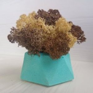 Кашпо Голубой Алмаз со мхом цвета Персик и Коричневый