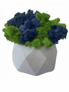Кашпо из бетона Stone Product Okto с салатовым и синим мхом 110 х 67 мм Белое