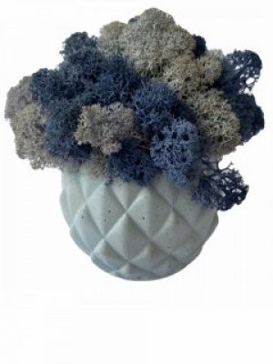 Кашпо из бетона Stone Product Cone с голубым и синим мхом 72 х 63 мм Небесно-голубое