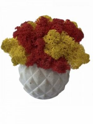 Кашпо из бетона Stone Product Cone с красным и желтым мхом 72 х 63 мм Белое