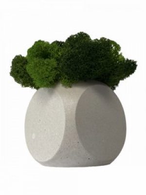 Кашпо из бетона Stone Product Cube с тёмно-зелёным и салатовым мхом 70 х 70 мм Белое