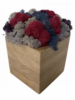 Кашпо из дерева Stone Product Куб с фиолетовым