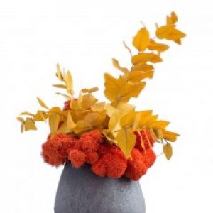 Композиция со стабилизированным мхом и эвкалиптом