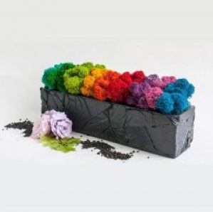 Композиция со стабилизированным мхом Радуга