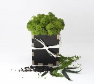 Композиция со стабилизированным мхом WOOD мох