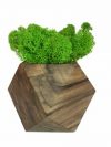Стабилизированный мох вазон Reindeer Moss b/093/01/700/9 светло-зеленый коричневый