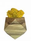 Стабилизированный мох вазон Reindeer Moss b/093/01/700/9 желтый коричневый