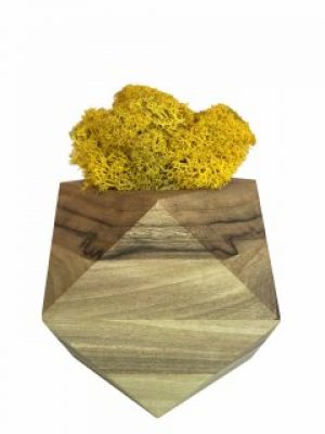 Стабилизированный мох вазон Reindeer Moss b/093/01/700/9 желтый коричневый