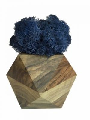 Стабилизированный мох вазон Reindeer Moss b/093/01/700/9 синий коричневый