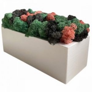 Кашпо из сосны Stone Product Прямоугольник с нежно-розовым
