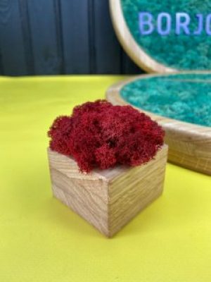 Деревянный кашпо куб Vstavai Sonce со стабилизированным мхом 6х6х4 см.