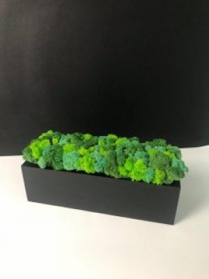 Прямоугольный кашпо Vstavai Sonce со стабилизированным мхом 30 см.