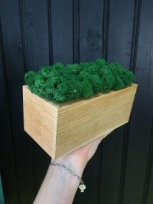 Прямоугольный кашпо Vstavai Sonce со стабилизированным мхом 20х10