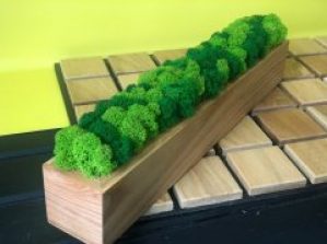 Прямоугольный кашпо Vstavai Sonce со стабилизированным мхом 40х10