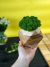 Деревянный кашпо шестигранник Vstavai Sonce со стабилизированным мхом 10х10х10