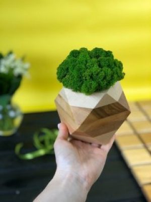 Деревянный кашпо шестигранник Vstavai Sonce со стабилизированным мхом 10х10х10