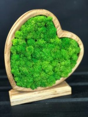 Сердце со стабилизированного мха Vstavai Sonce 20х20х22