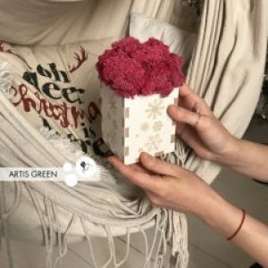 Мох в кашпо со снежинками. Новогодний корпоративный сувенир. P3