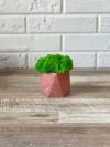 Кашпо со стабилизированным мхом Woodhouse Urban Pink декор для дома офиса