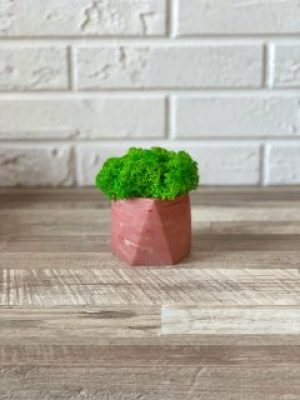 Кашпо со стабилизированным мхом Woodhouse Urban Pink декор для дома офиса